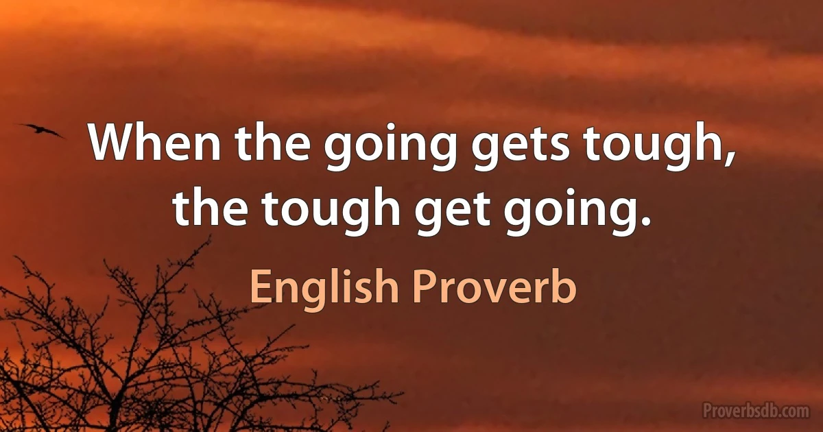 When the going gets tough, the tough get going. (English Proverb)