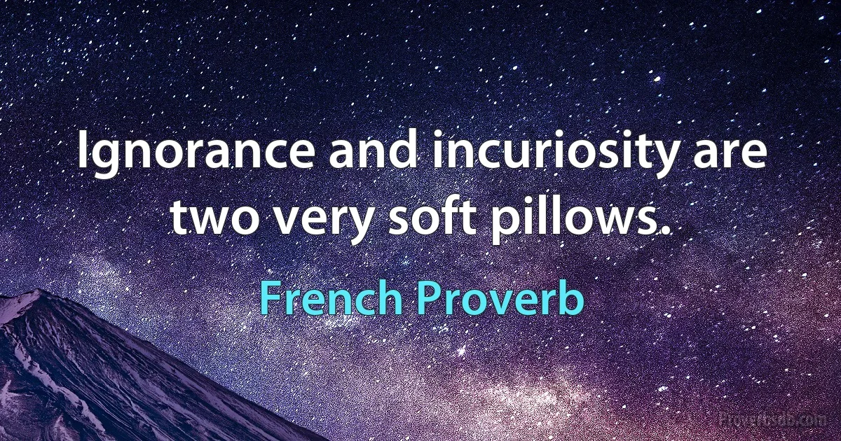 Ignorance and incuriosity are two very soft pillows. (French Proverb)