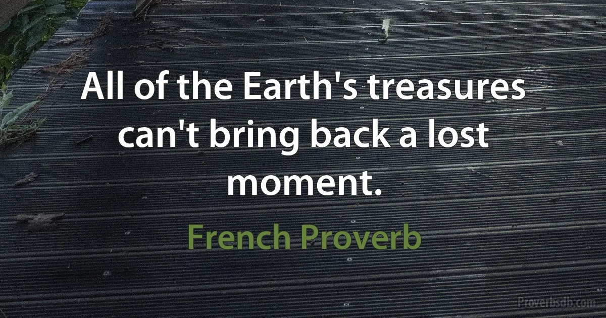 All of the Earth's treasures can't bring back a lost moment. (French Proverb)