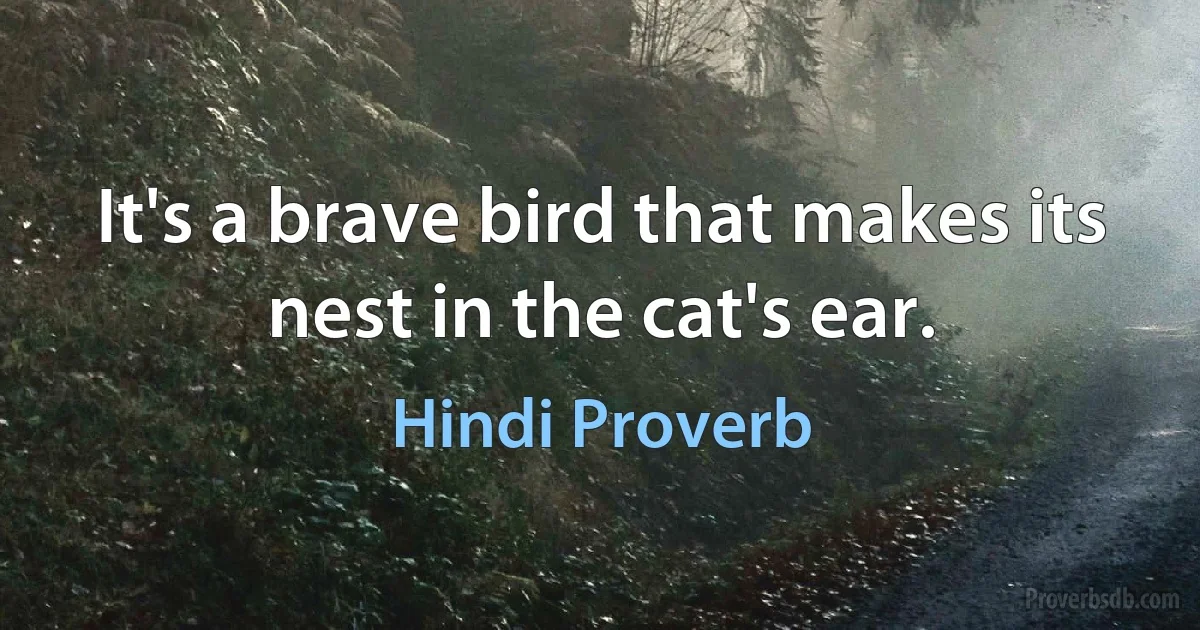 It's a brave bird that makes its nest in the cat's ear. (Hindi Proverb)