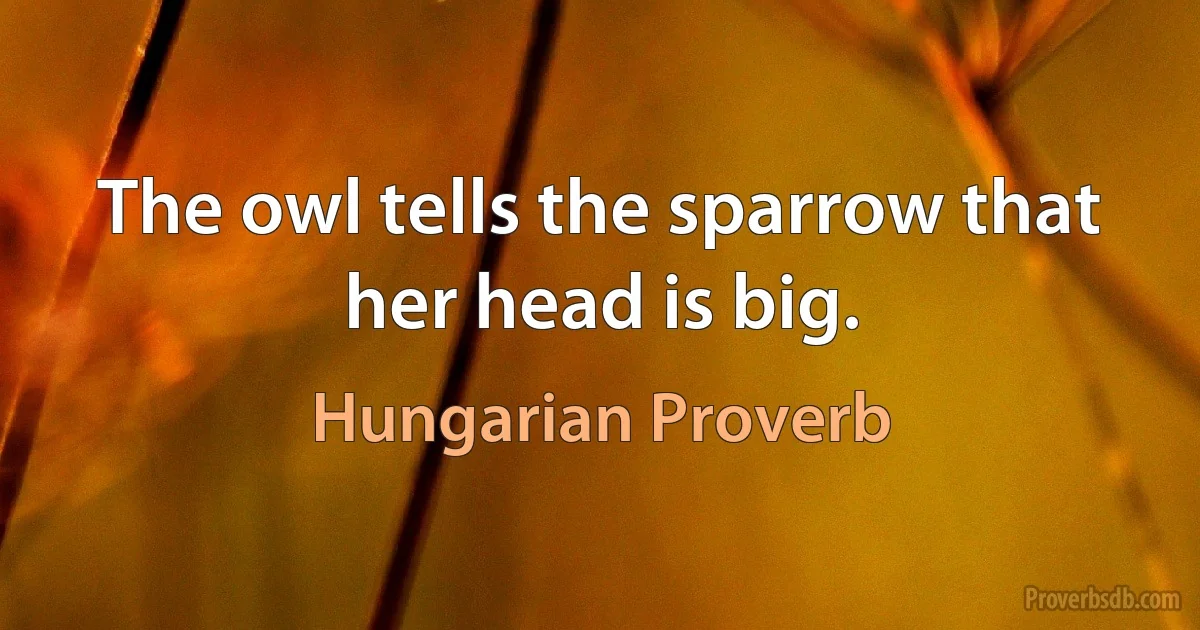 The owl tells the sparrow that her head is big. (Hungarian Proverb)