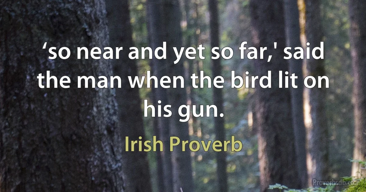 ‘so near and yet so far,' said the man when the bird lit on his gun. (Irish Proverb)