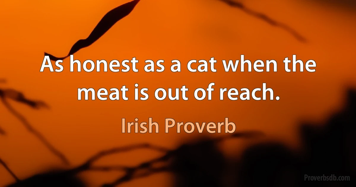 As honest as a cat when the meat is out of reach. (Irish Proverb)