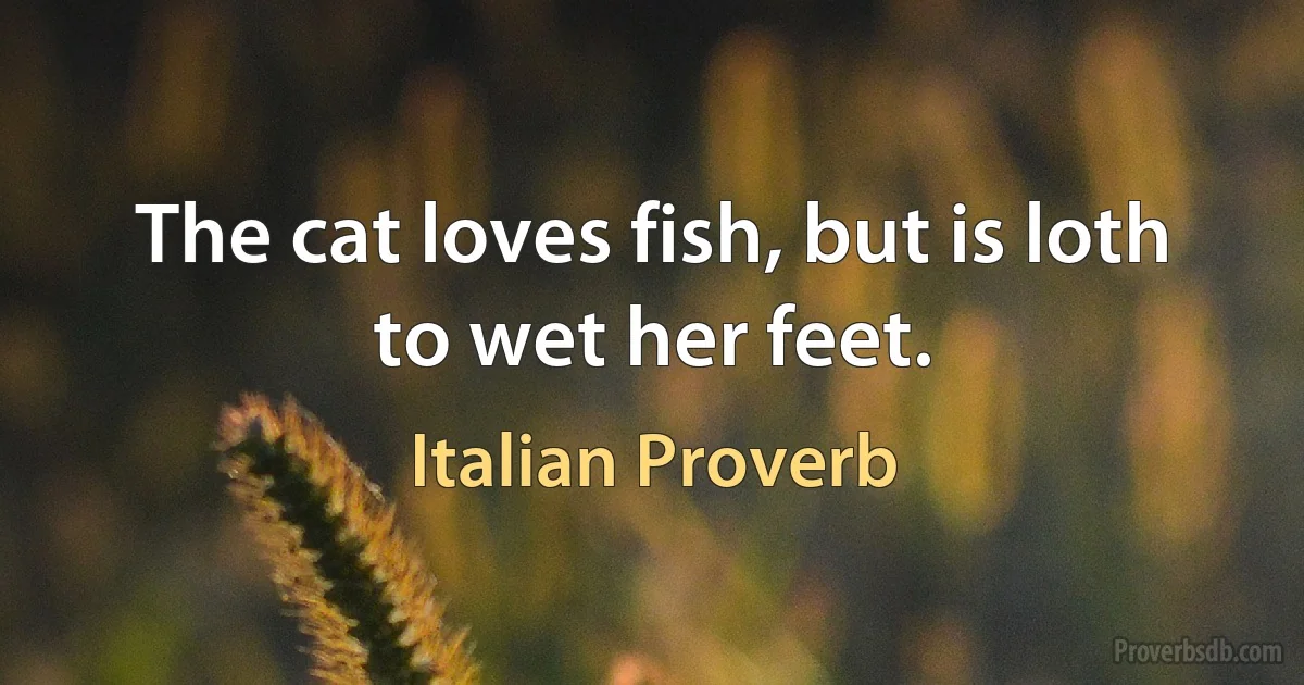 The cat loves fish, but is loth to wet her feet. (Italian Proverb)