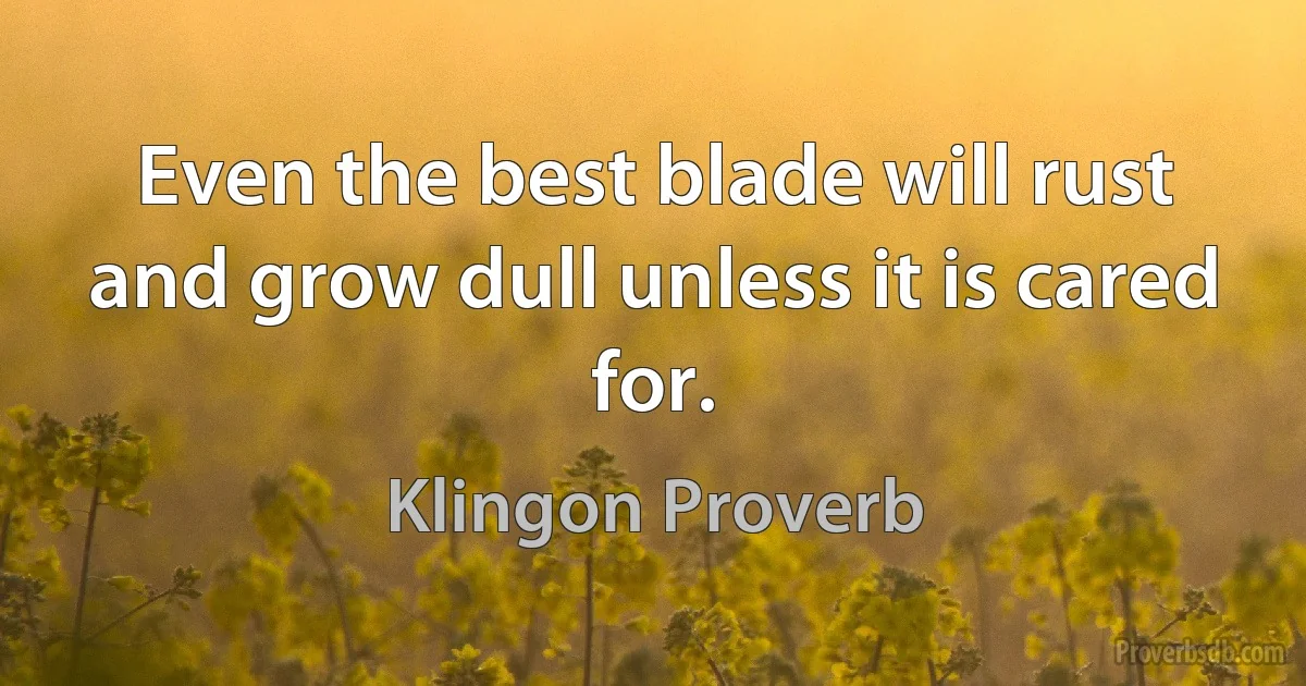 Even the best blade will rust and grow dull unless it is cared for. (Klingon Proverb)