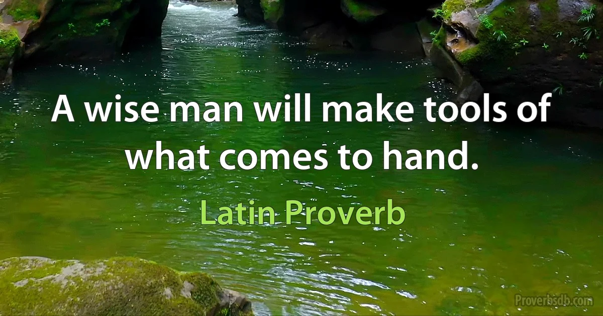 A wise man will make tools of what comes to hand. (Latin Proverb)