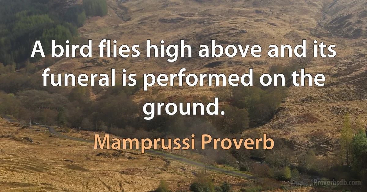 A bird flies high above and its funeral is performed on the ground. (Mamprussi Proverb)