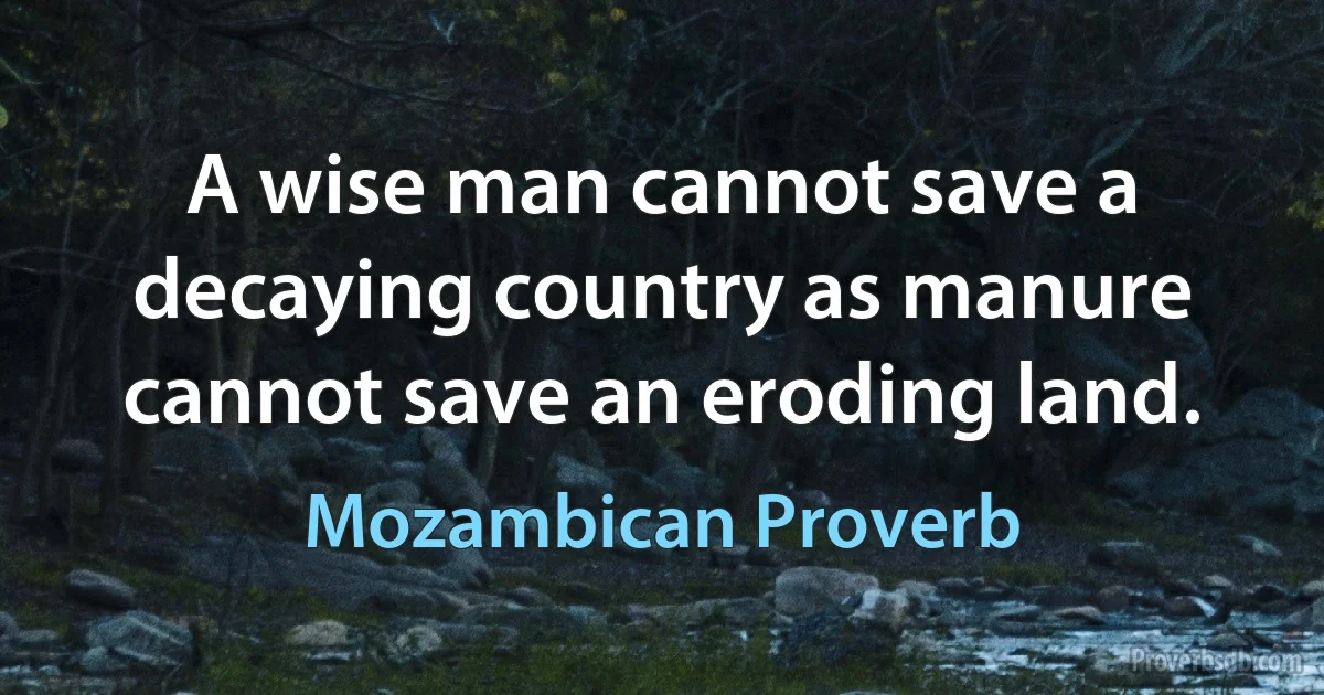 A wise man cannot save a decaying country as manure cannot save an eroding land. (Mozambican Proverb)