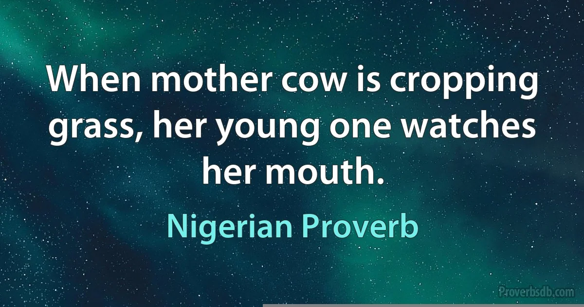 When mother cow is cropping grass, her young one watches her mouth. (Nigerian Proverb)