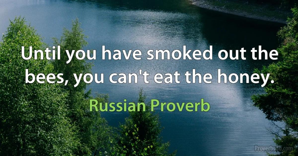 Until you have smoked out the bees, you can't eat the honey. (Russian Proverb)