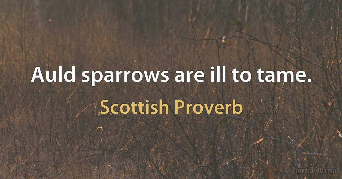 Auld sparrows are ill to tame. (Scottish Proverb)