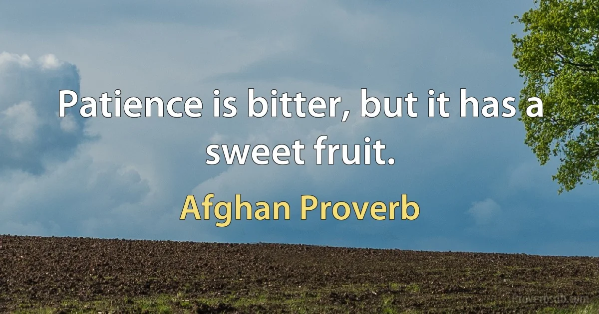 Patience is bitter, but it has a sweet fruit. (Afghan Proverb)