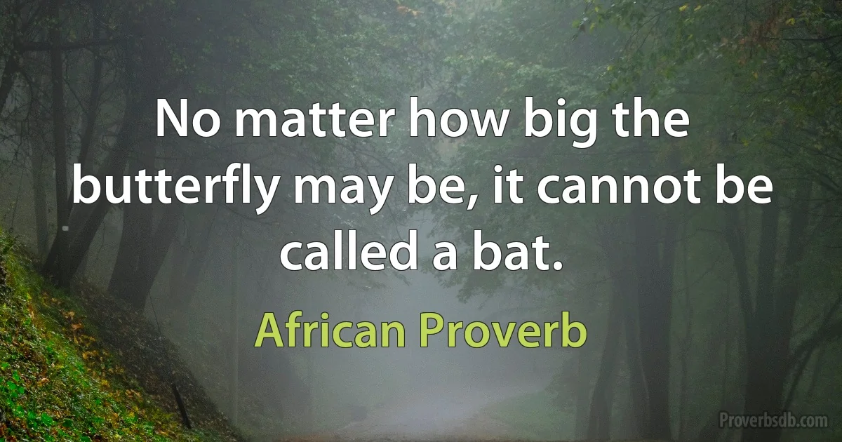 No matter how big the butterfly may be, it cannot be called a bat. (African Proverb)