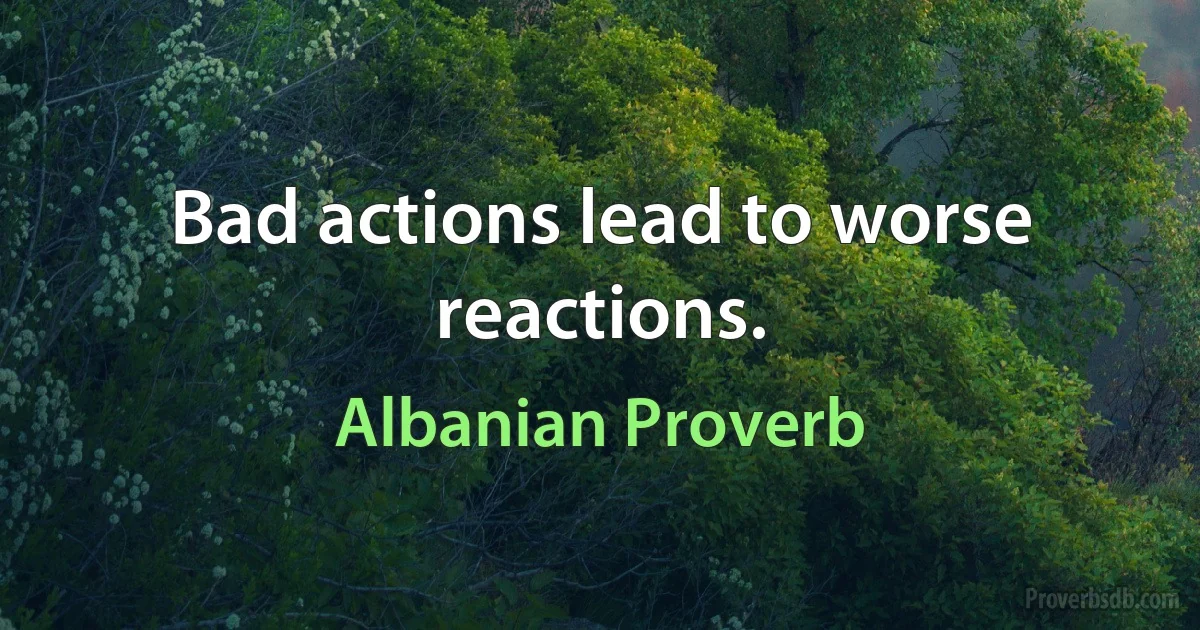 Bad actions lead to worse reactions. (Albanian Proverb)