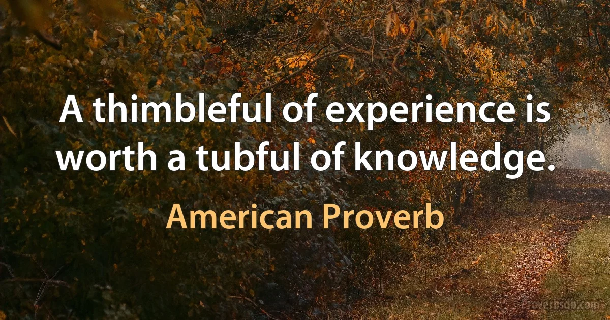 A thimbleful of experience is worth a tubful of knowledge. (American Proverb)