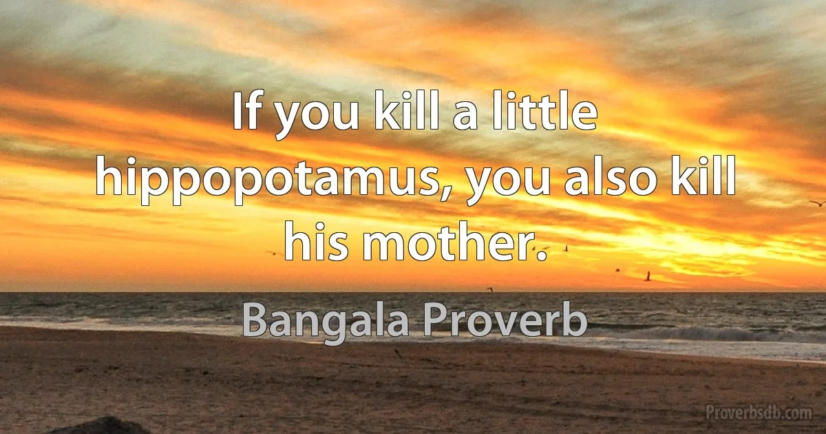 If you kill a little hippopotamus, you also kill his mother. (Bangala Proverb)