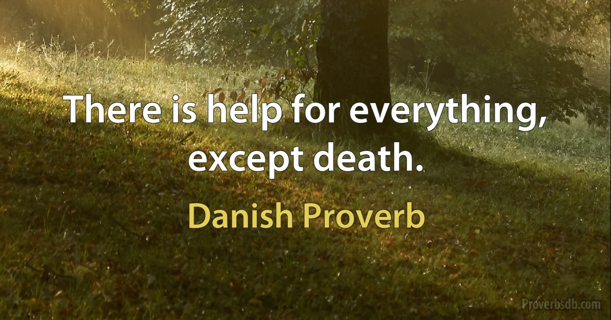 There is help for everything, except death. (Danish Proverb)