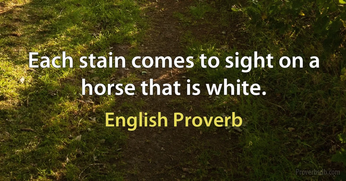 Each stain comes to sight on a horse that is white. (English Proverb)