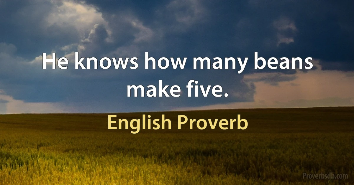 Не knows how many beans make five. (English Proverb)