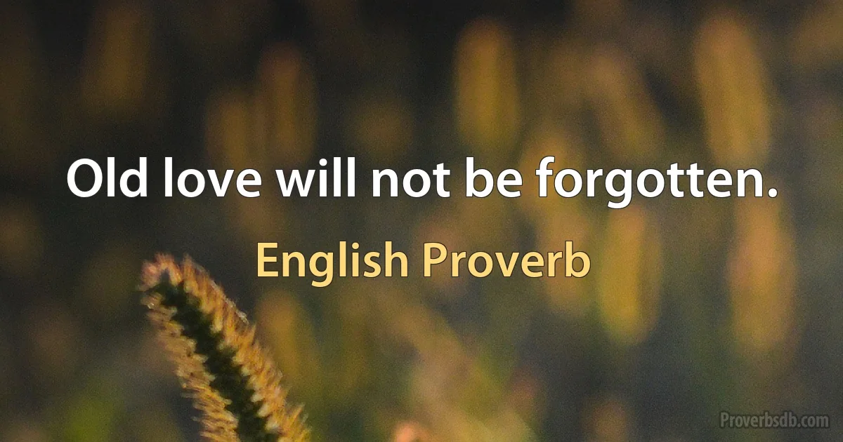 Old love will not be forgotten. (English Proverb)