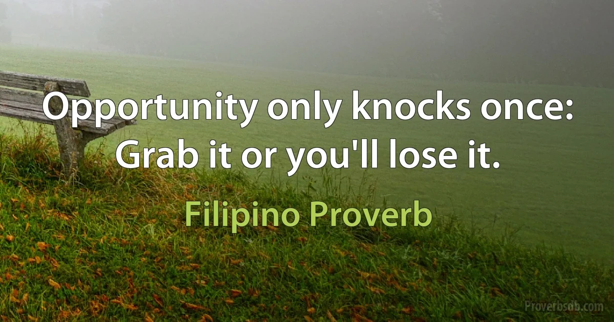 Opportunity only knocks once: Grab it or you'll lose it. (Filipino Proverb)