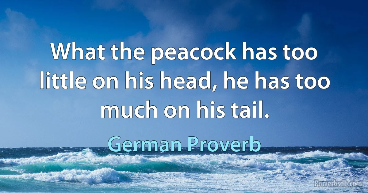 What the peacock has too little on his head, he has too much on his tail. (German Proverb)