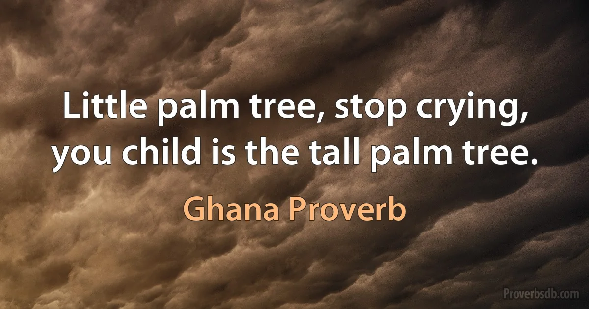 Little palm tree, stop crying, you child is the tall palm tree. (Ghana Proverb)