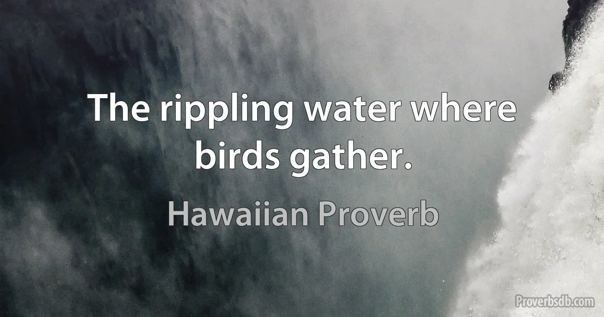 The rippling water where birds gather. (Hawaiian Proverb)