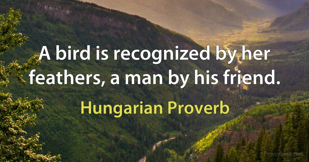 A bird is recognized by her feathers, a man by his friend. (Hungarian Proverb)