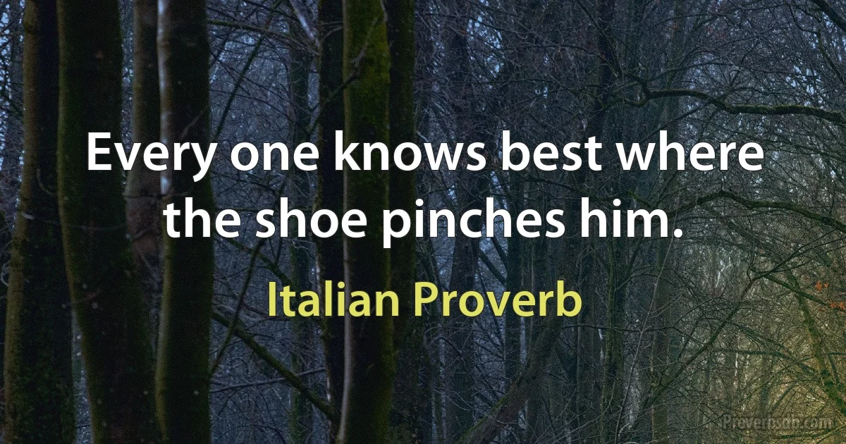 Every one knows best where the shoe pinches him. (Italian Proverb)