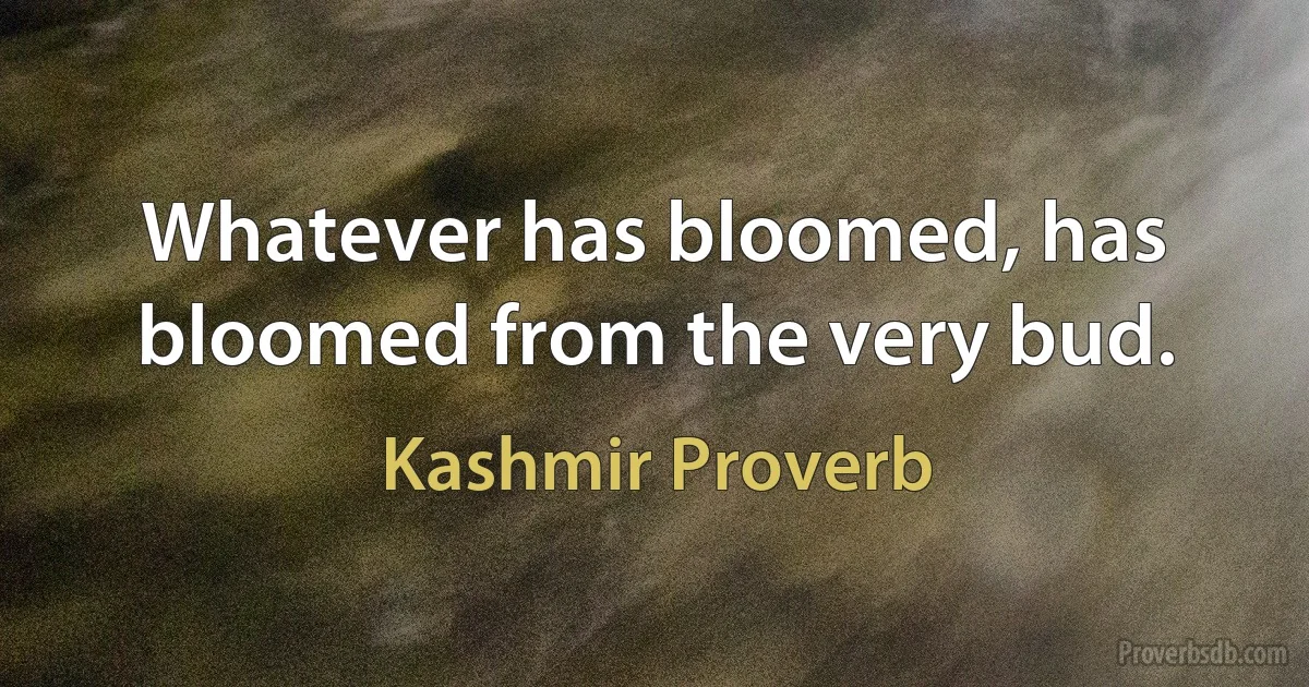 Whatever has bloomed, has bloomed from the very bud. (Kashmir Proverb)