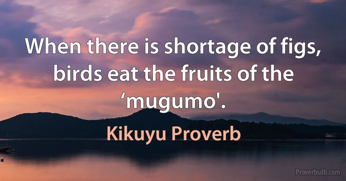 When there is shortage of figs, birds eat the fruits of the ‘mugumo'. (Kikuyu Proverb)