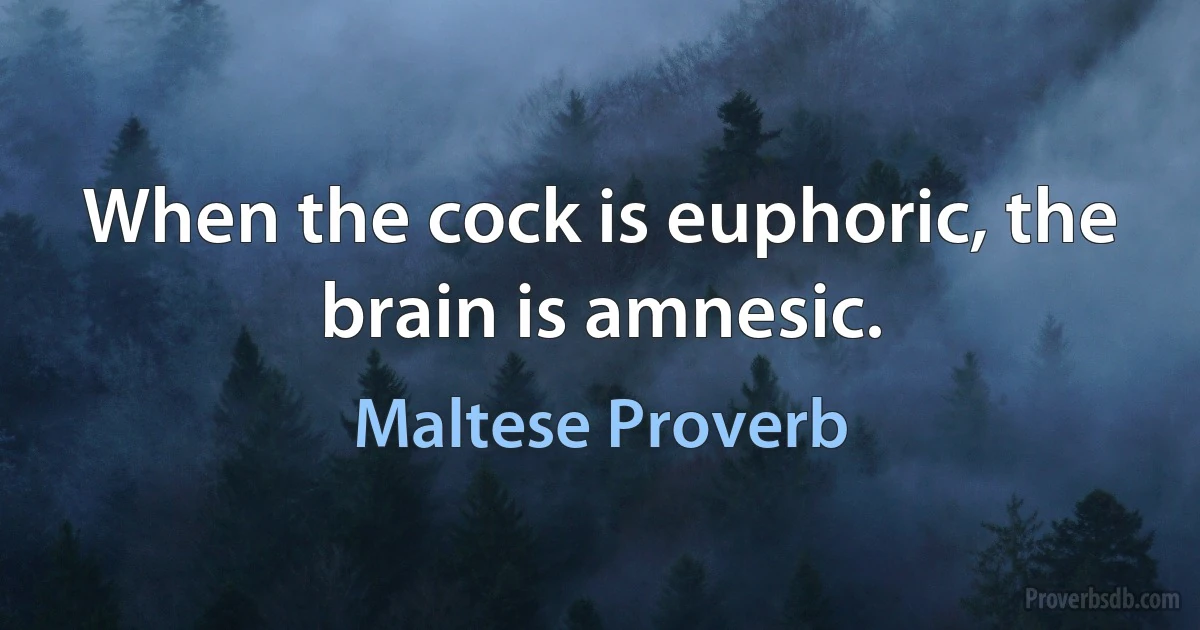 When the cock is euphoric, the brain is amnesic. (Maltese Proverb)