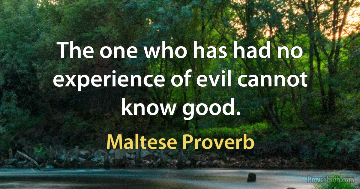 The one who has had no experience of evil cannot know good. (Maltese Proverb)