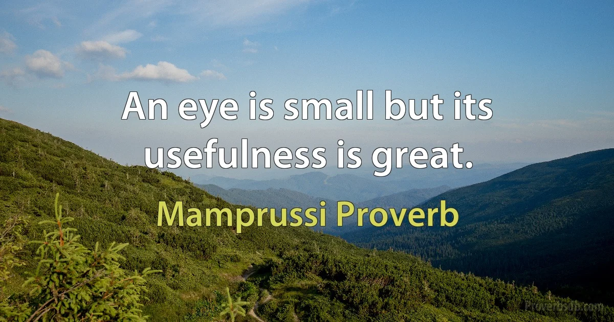 An eye is small but its usefulness is great. (Mamprussi Proverb)