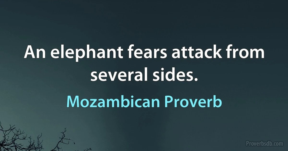 An elephant fears attack from several sides. (Mozambican Proverb)