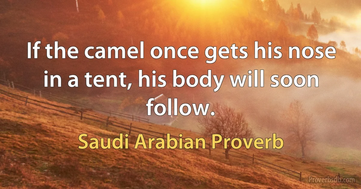 If the camel once gets his nose in a tent, his body will soon follow. (Saudi Arabian Proverb)