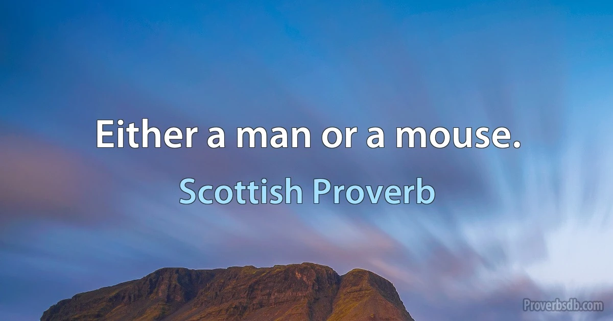 Either a man or a mouse. (Scottish Proverb)