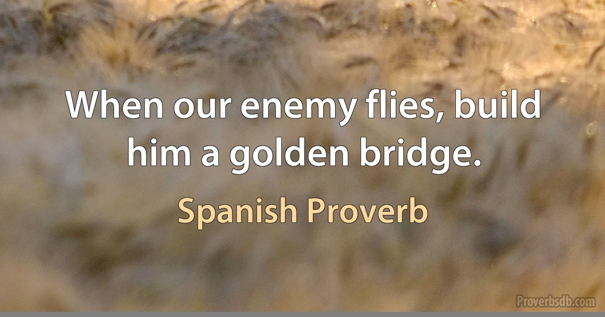 When our enemy flies, build him a golden bridge. (Spanish Proverb)