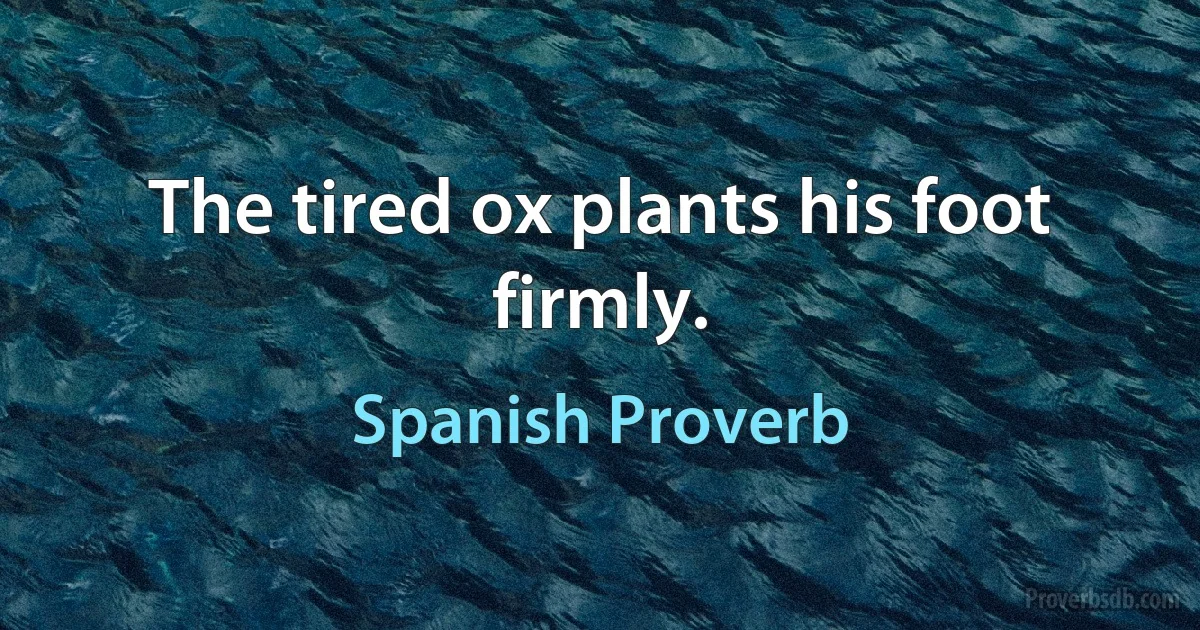 The tired ox plants his foot firmly. (Spanish Proverb)