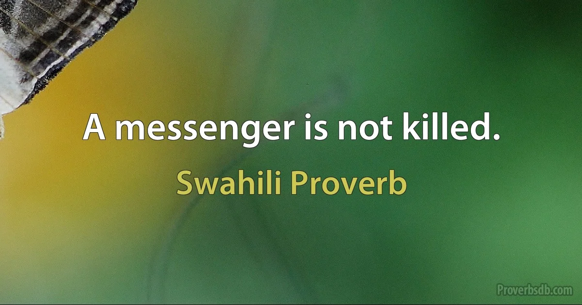 A messenger is not killed. (Swahili Proverb)