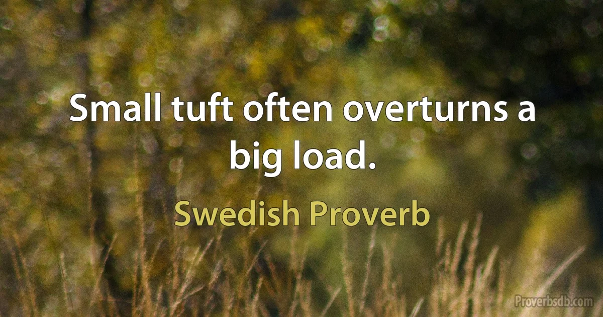 Small tuft often overturns a big load. (Swedish Proverb)