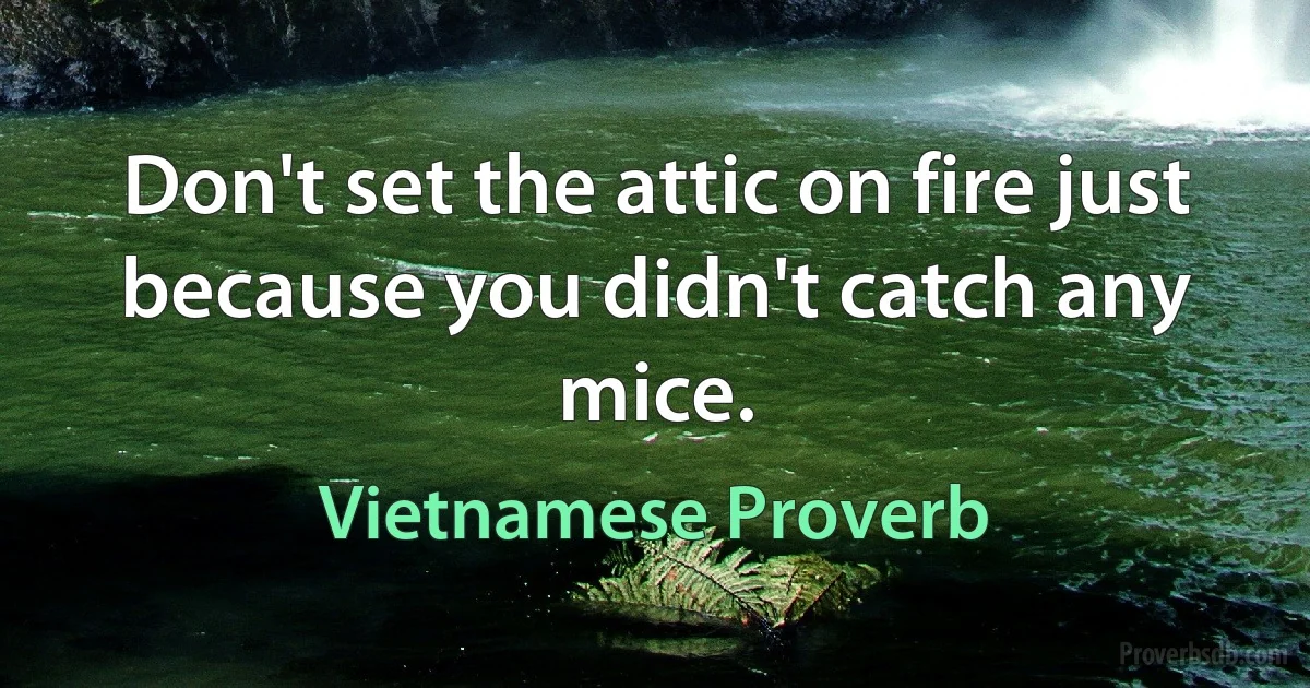 Don't set the attic on fire just because you didn't catch any mice. (Vietnamese Proverb)