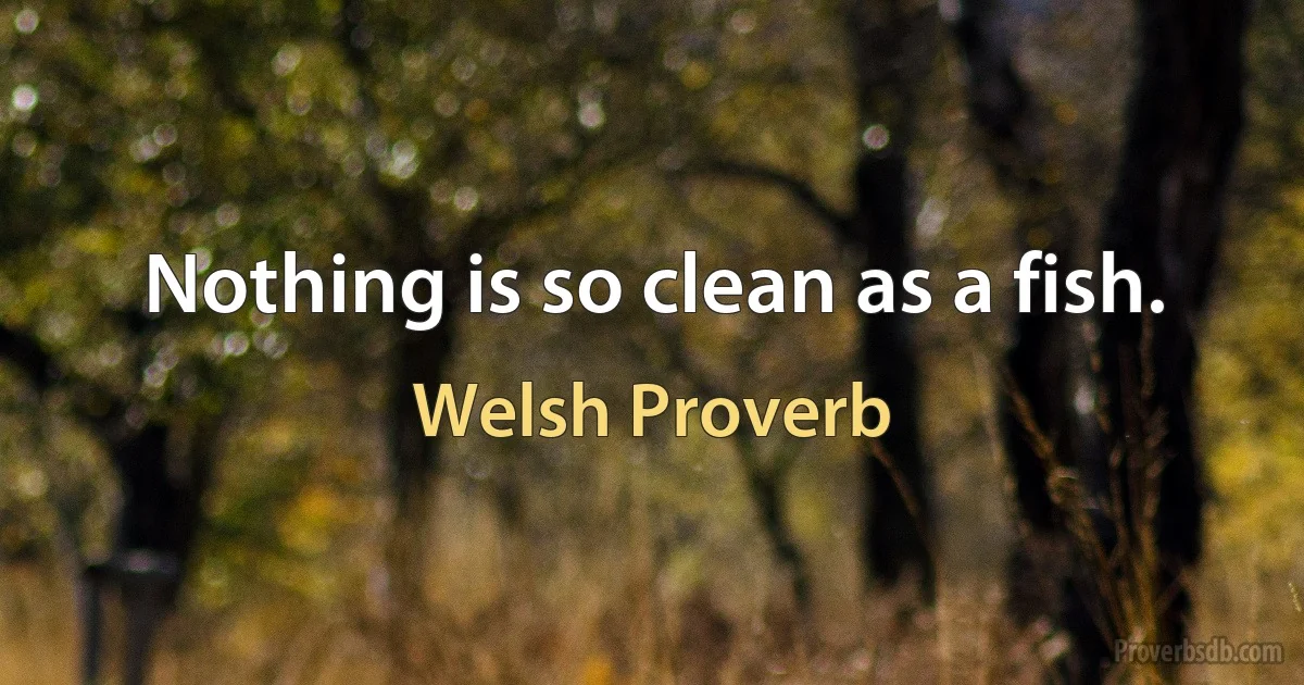 Nothing is so clean as a fish. (Welsh Proverb)