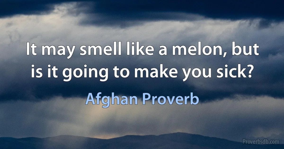 It may smell like a melon, but is it going to make you sick? (Afghan Proverb)