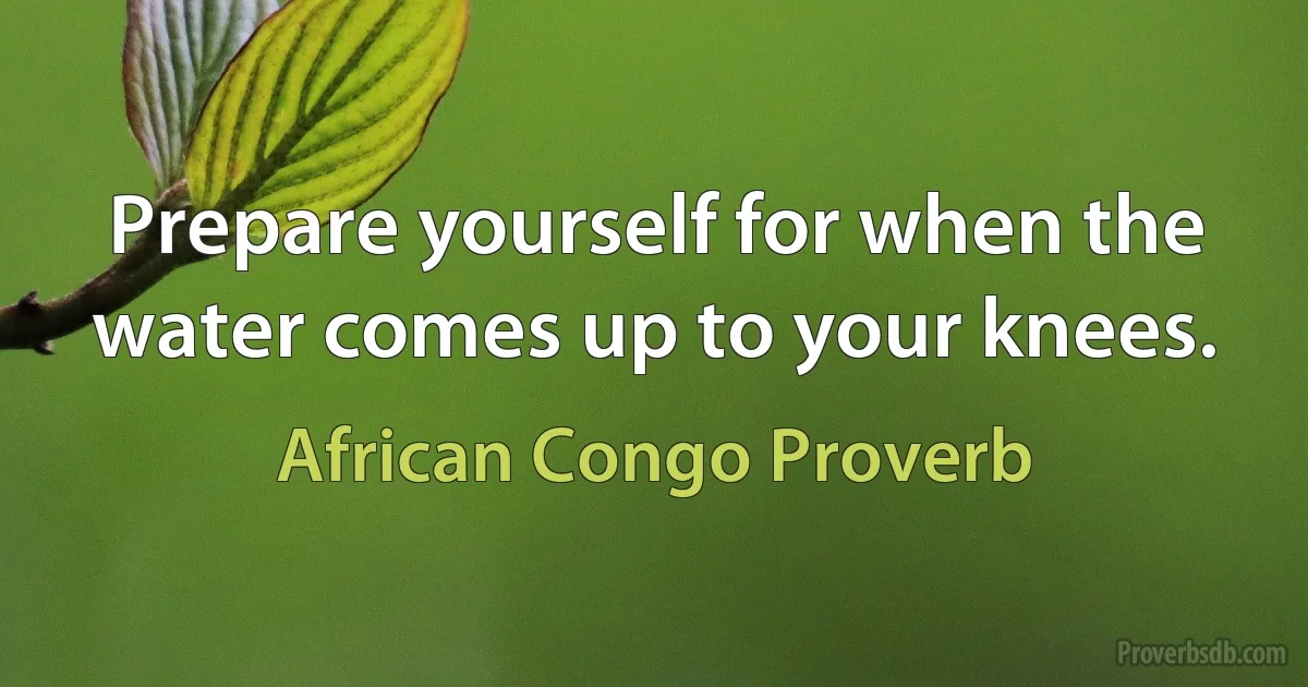 Prepare yourself for when the water comes up to your knees. (African Congo Proverb)