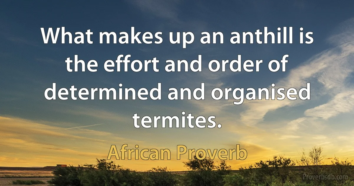 What makes up an anthill is the effort and order of determined and organised termites. (African Proverb)