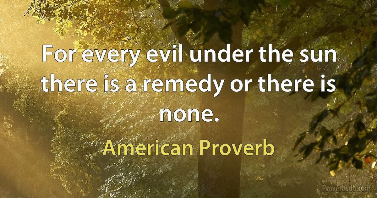 For every evil under the sun there is a remedy or there is none. (American Proverb)