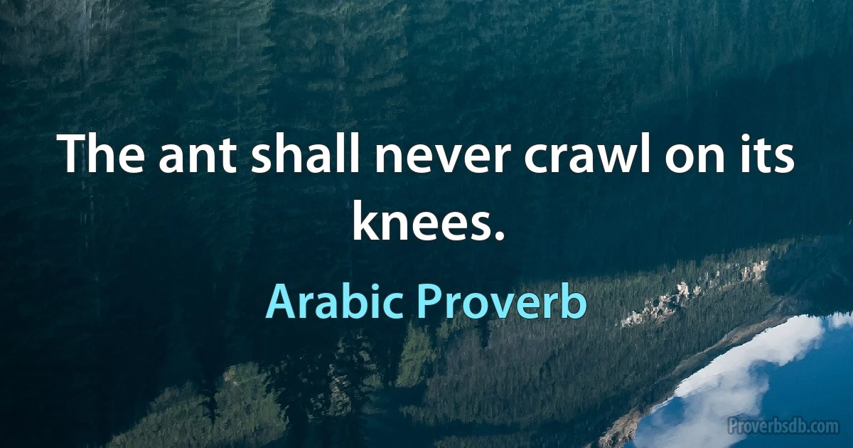 The ant shall never crawl on its knees. (Arabic Proverb)