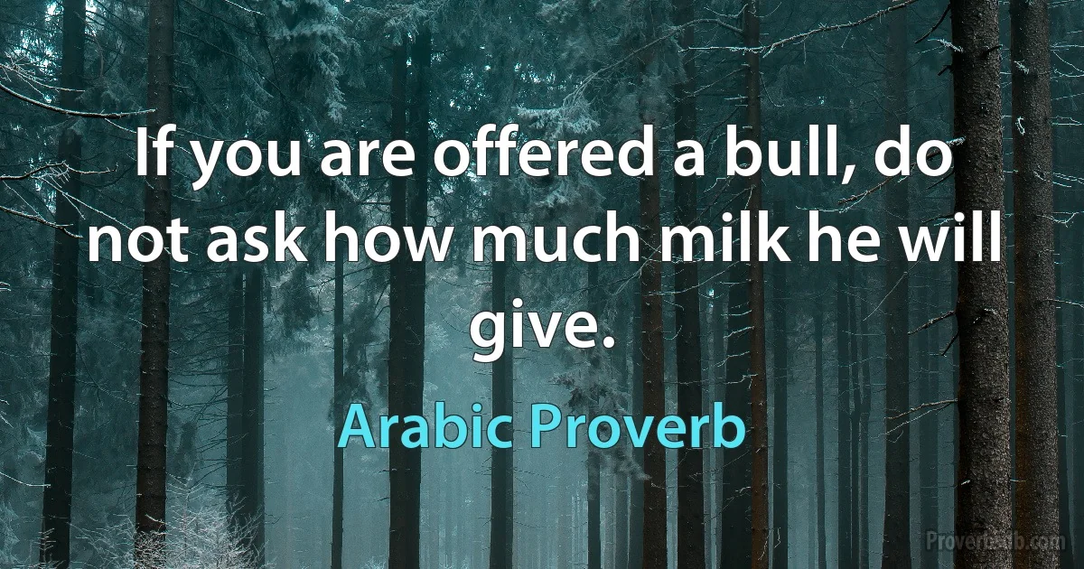 If you are offered a bull, do not ask how much milk he will give. (Arabic Proverb)